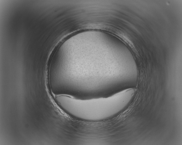 X0000076060992200610061531