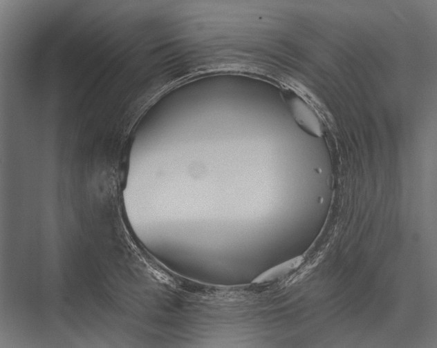 X0000076060993200610061531