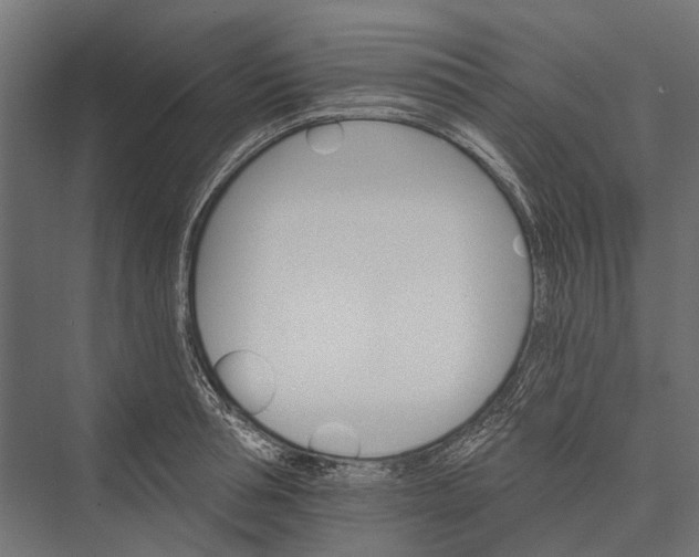 X0000076060994200610061531