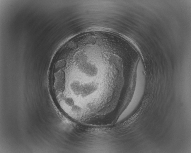 X0000076060995200610061531