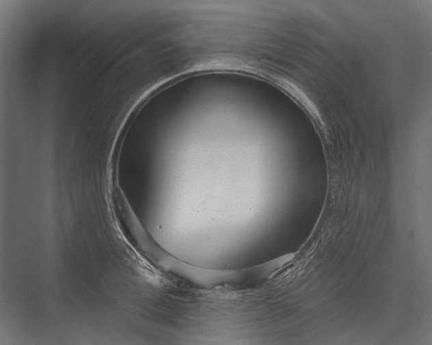 X0000076060996200610061531