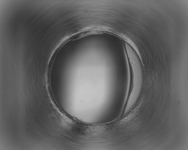 X0000076060997200610061531