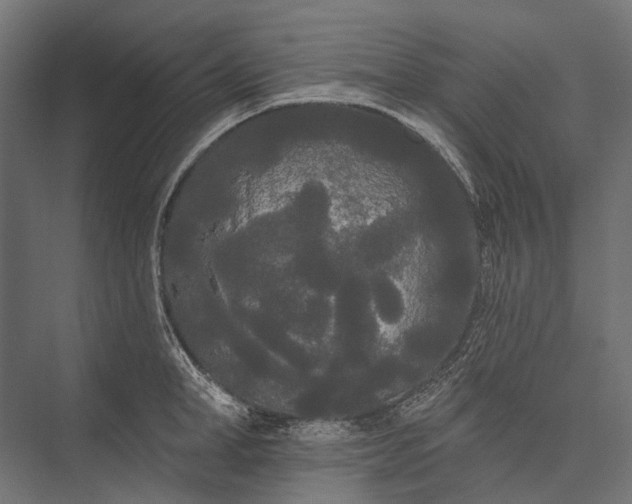 X0000076060998200610061531