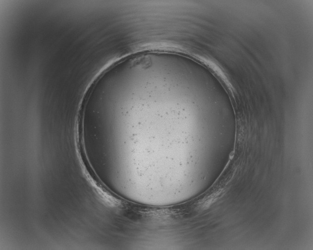 X0000076060999200610061531