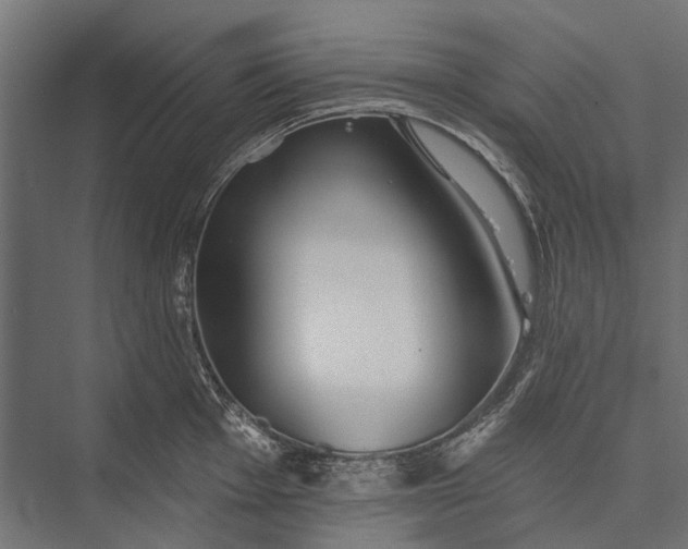 X0000076061001200610061531