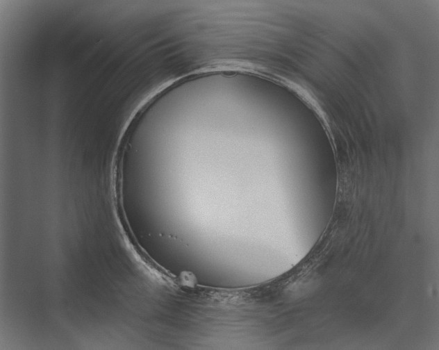 X0000076061003200610061531