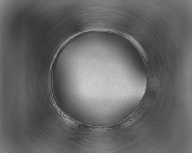 X0000076061004200610061531