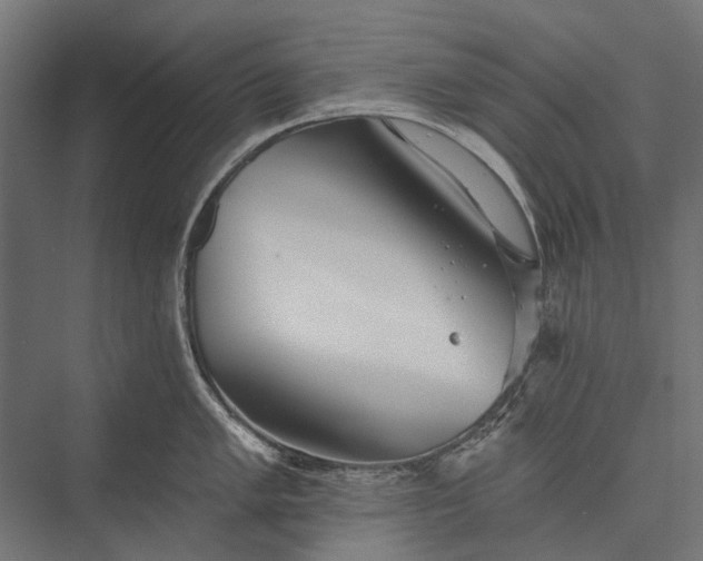 X0000076061005200610061531