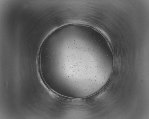 X0000076061007200610061531