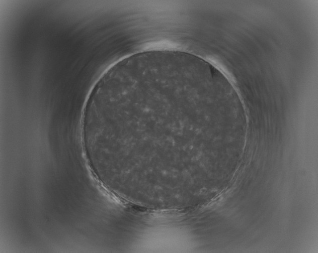 X0000076061008200610061531