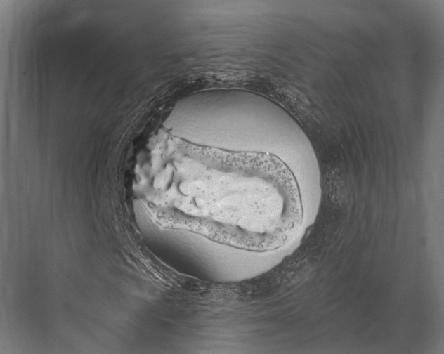 X0000076061009200610061530