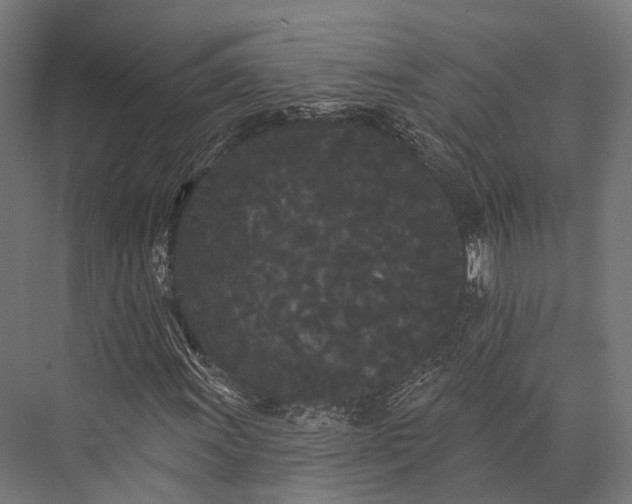 X0000076061011200610061530