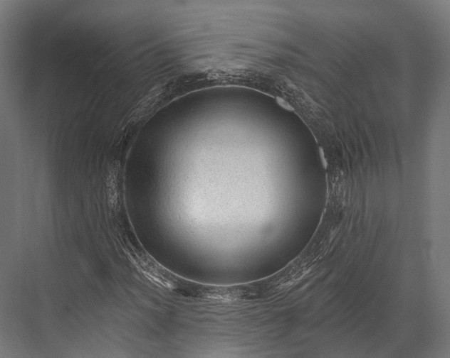 X0000076061012200610061530