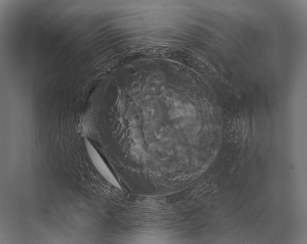 X0000076061013200610061530