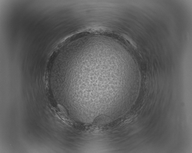 X0000076061016200610061530