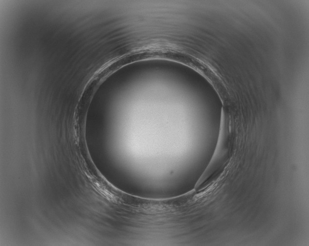 X0000076061018200610061530