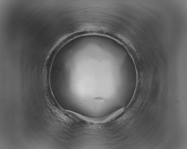 X0000076061021200610061530