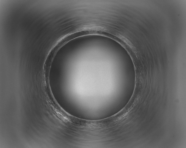 X0000076061022200610061531