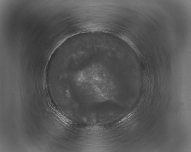 X0000076061023200610061531