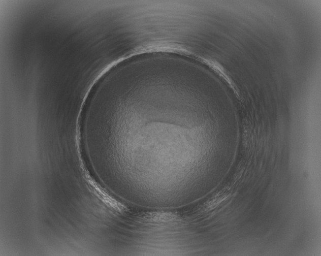 X0000076061024200610061531