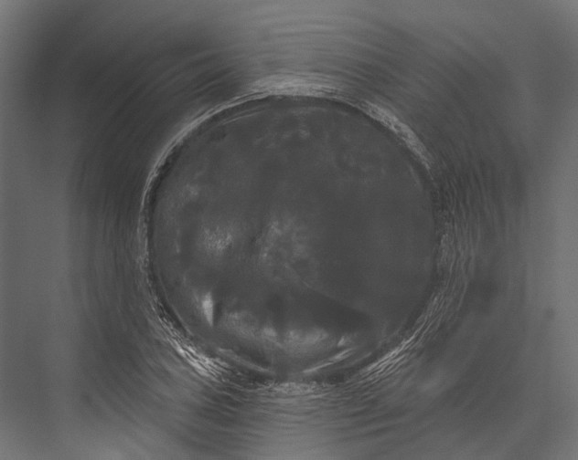 X0000076061027200610061531