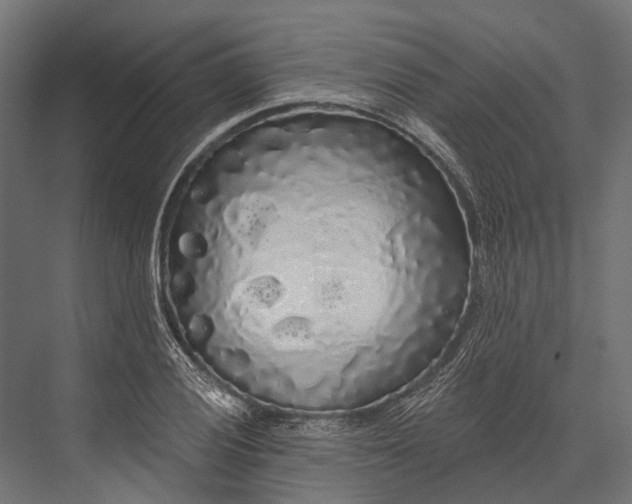 X0000076061028200610061531