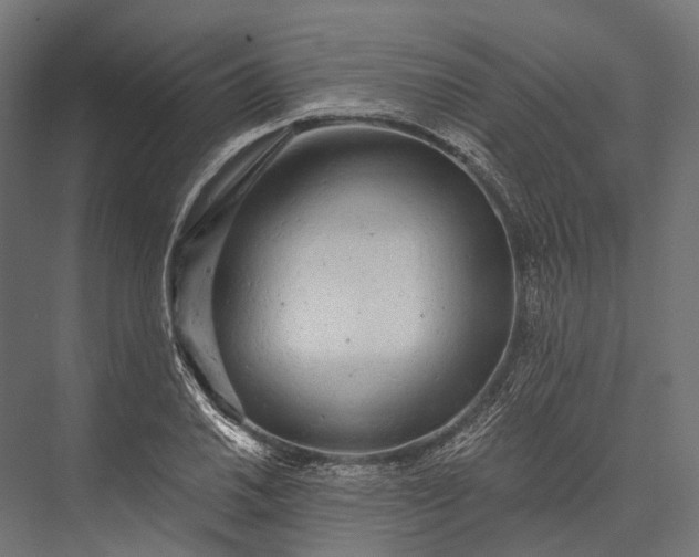 X0000076061030200610061531