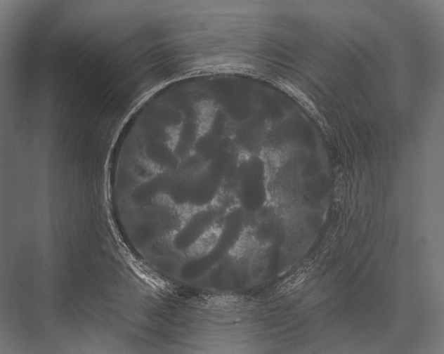 X0000076061031200610061531