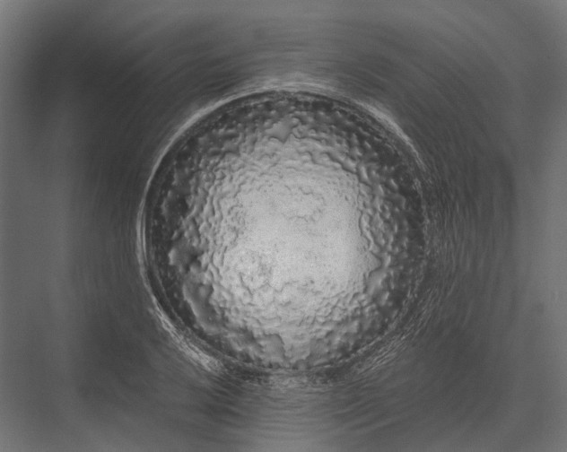 X0000076061032200610061531