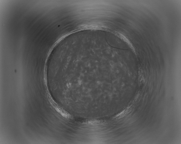 X0000076061035200610061531