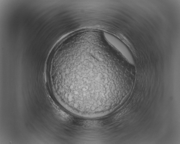 X0000076061036200610061531