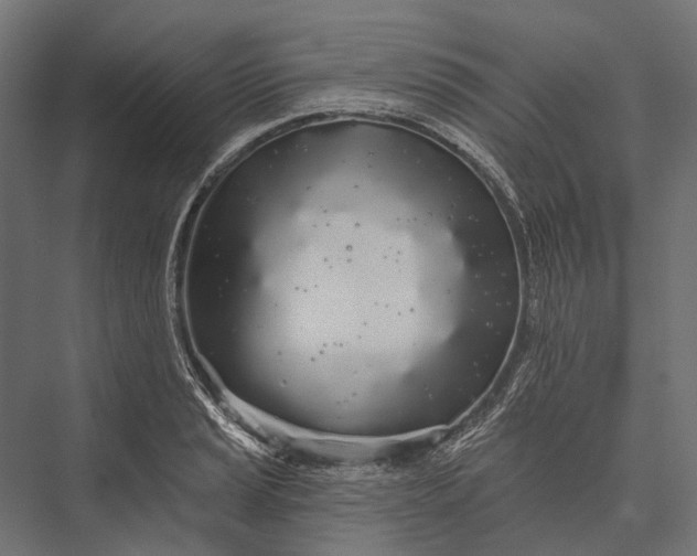 X0000076061037200610061531