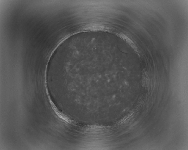 X0000076061039200610061531