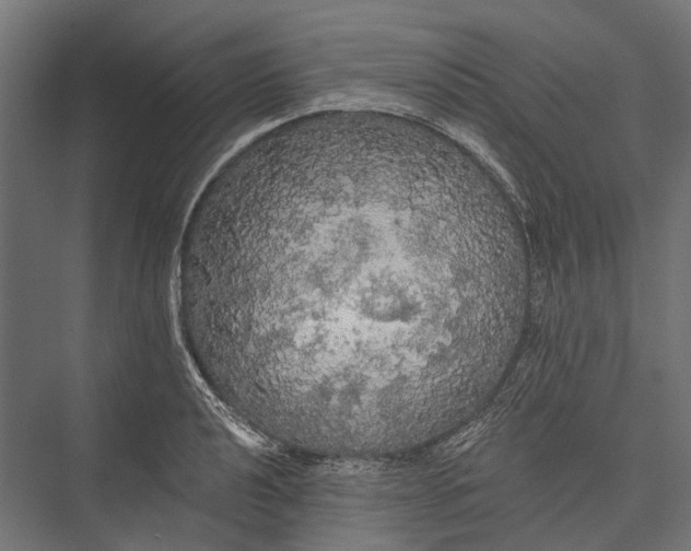 X0000076061040200610061531