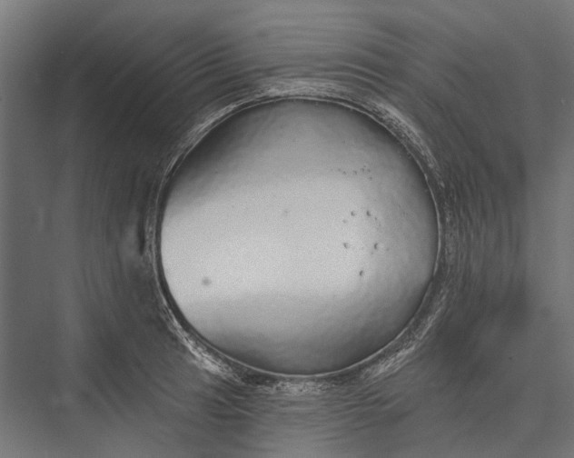 X0000076061041200610061531