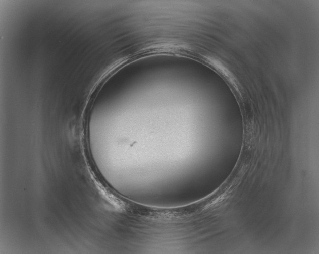 X0000076061042200610061531