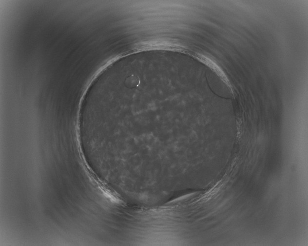 X0000076061043200610061531