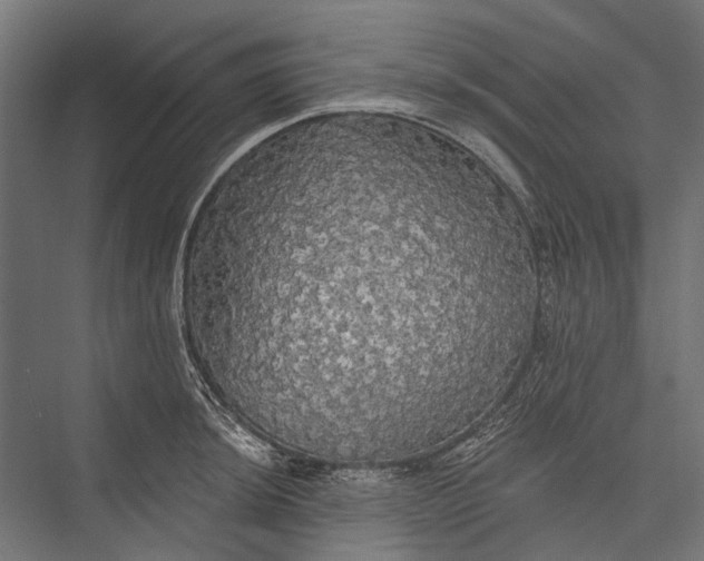 X0000076061044200610061531