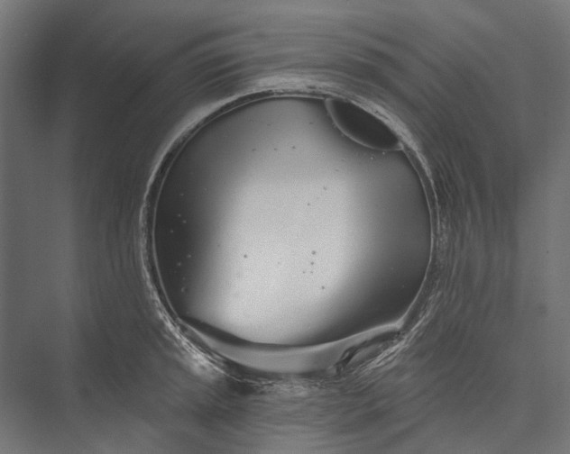 X0000076061045200610061531