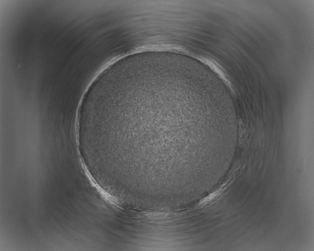 X0000076061046200610061531