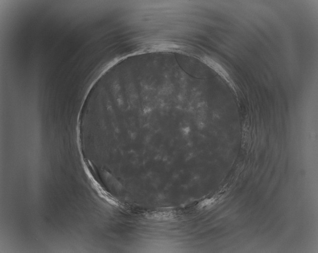 X0000076061047200610061531