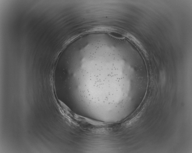 X0000076061049200610061531