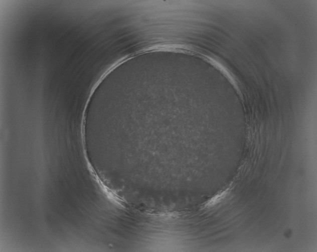 X0000076061050200610061531