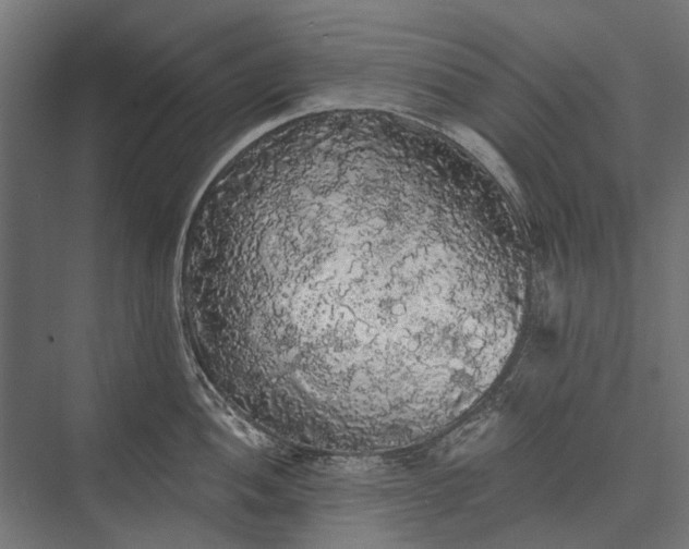 X0000076061052200610061531