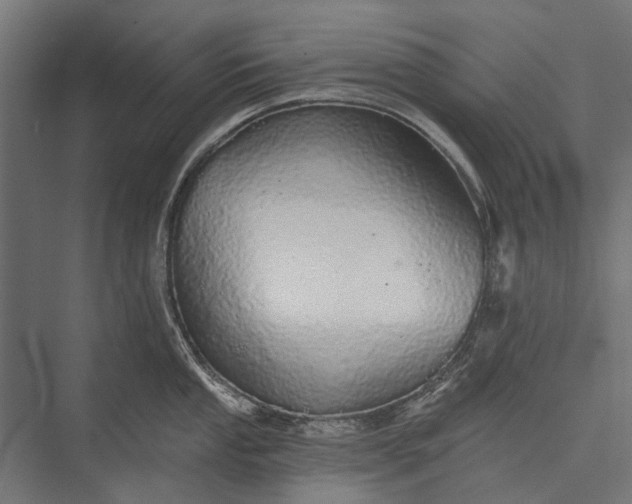 X0000076061053200610061531