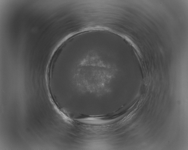 X0000076061054200610061531