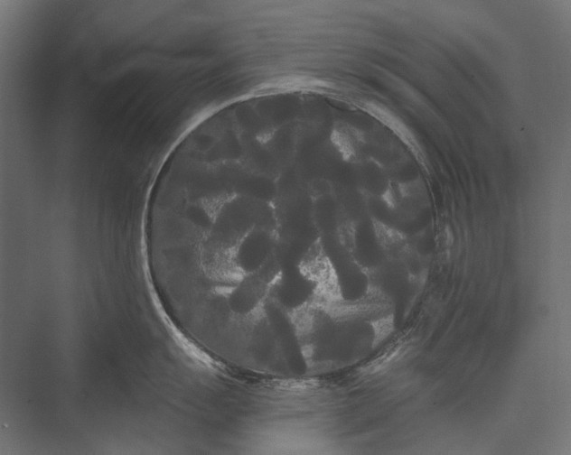 X0000076061055200610061531