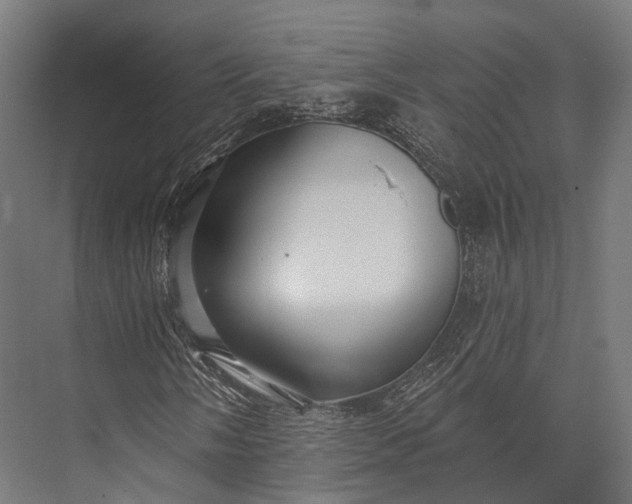 X0000076061058200610061530