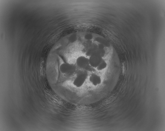 X0000076061059200610061530