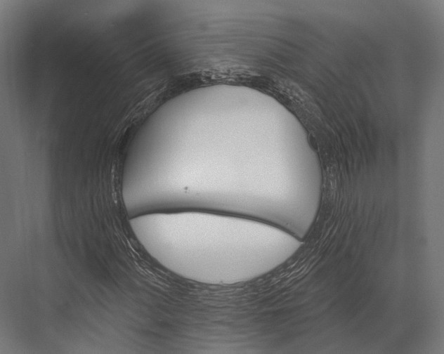 X0000076061060200610061530